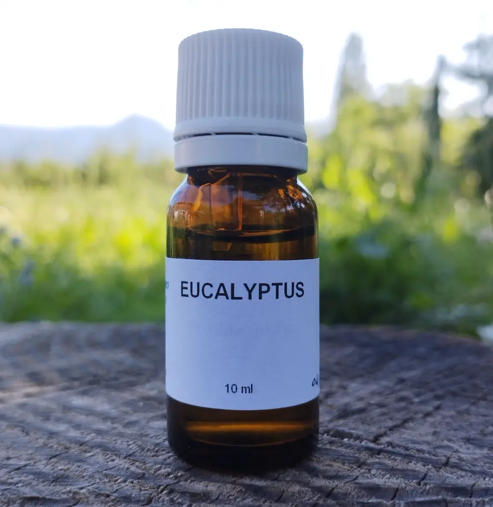 Huile essentielle d'eucalyptus 10 ml   