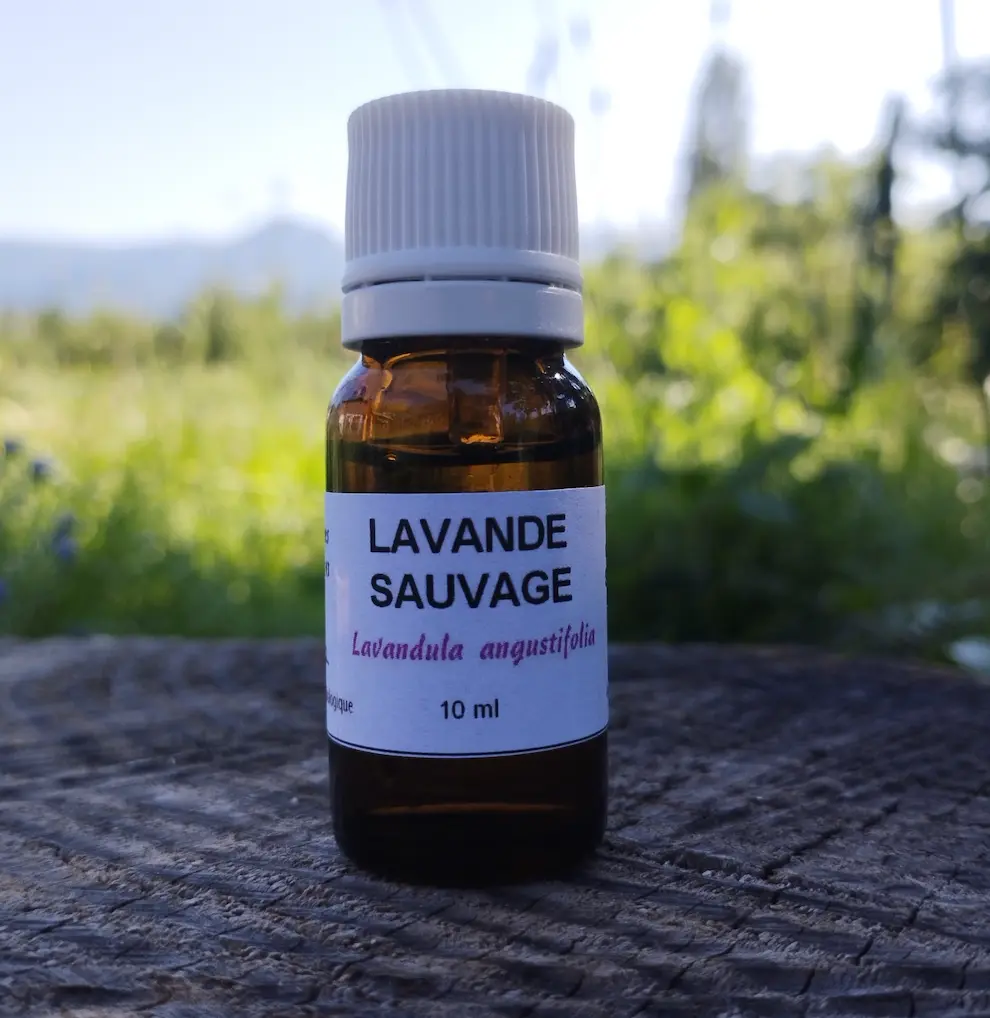 Huile essentielle de lavande sauvage 10 ml  