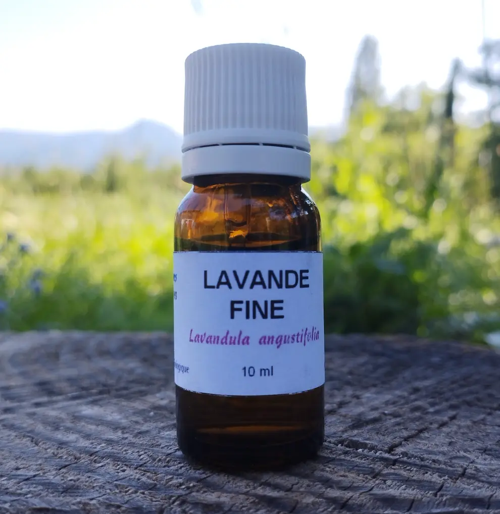 Huile essentielle de lavande fine 10 ml 