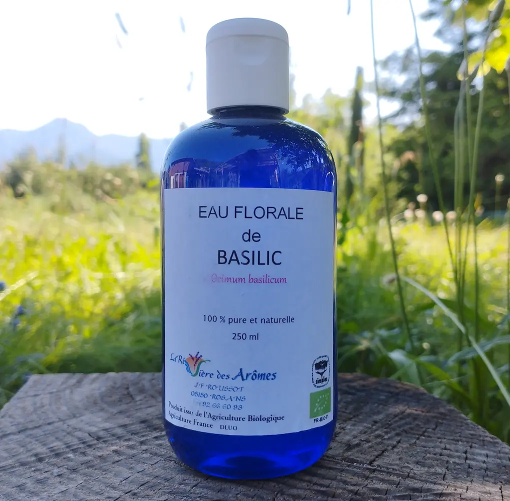 Eau florale de basilic sacré 250 ml  