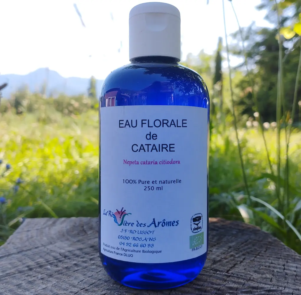 Eau florale de cataire citronnée 250 ml 