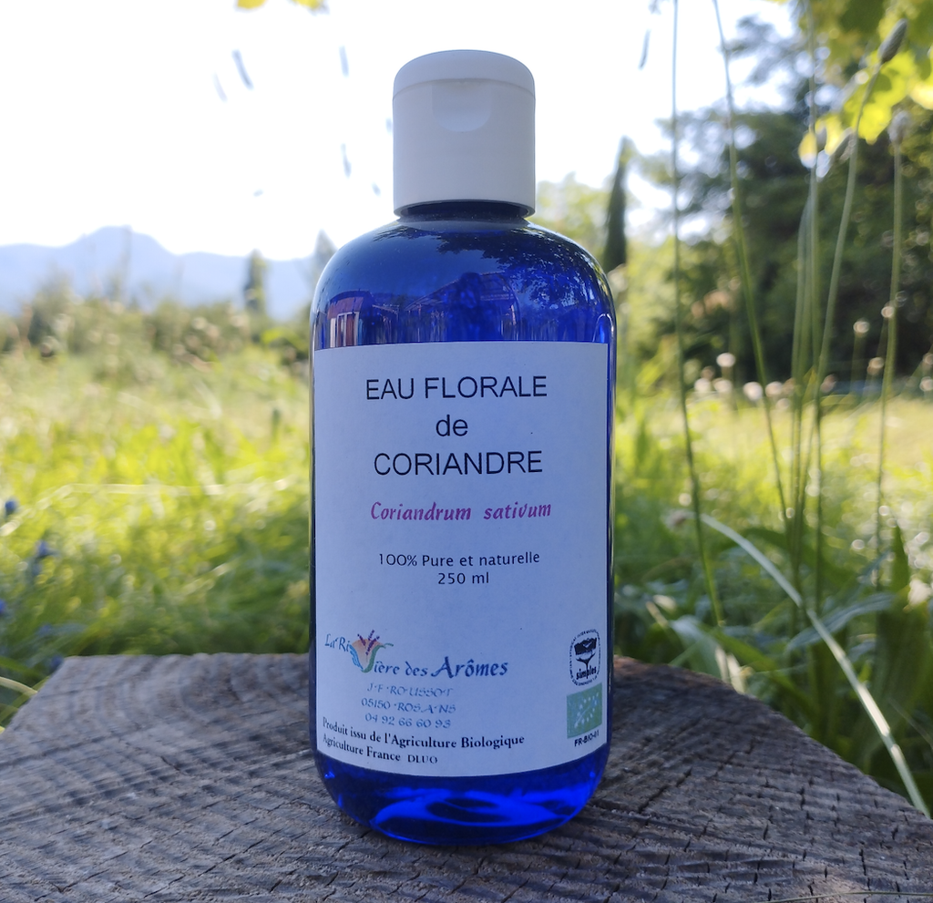 Eau florale de coriandre 250 ml