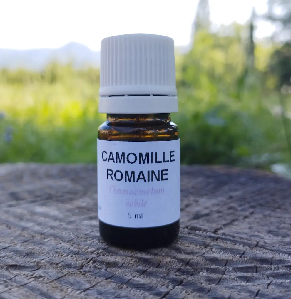 Huile essentielle de camomille romaine 5 ml 