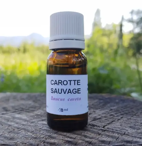 Huile essentielle de carotte sauvage 10 ml   