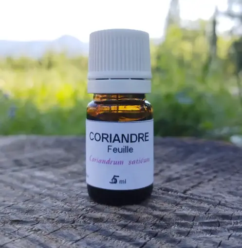 Huile essentielle de coriandre (feuilles) 5 ml