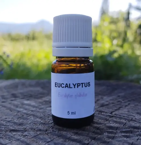 Huile essentielle d'eucalyptus 5 ml       