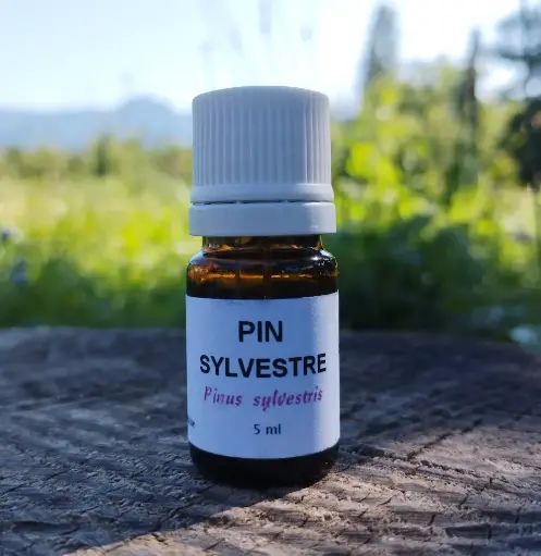 Huile essentielle de pin sylvestre 5 ml  