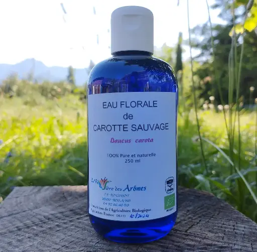 Eau florale de carotte sauvage 250 ml    