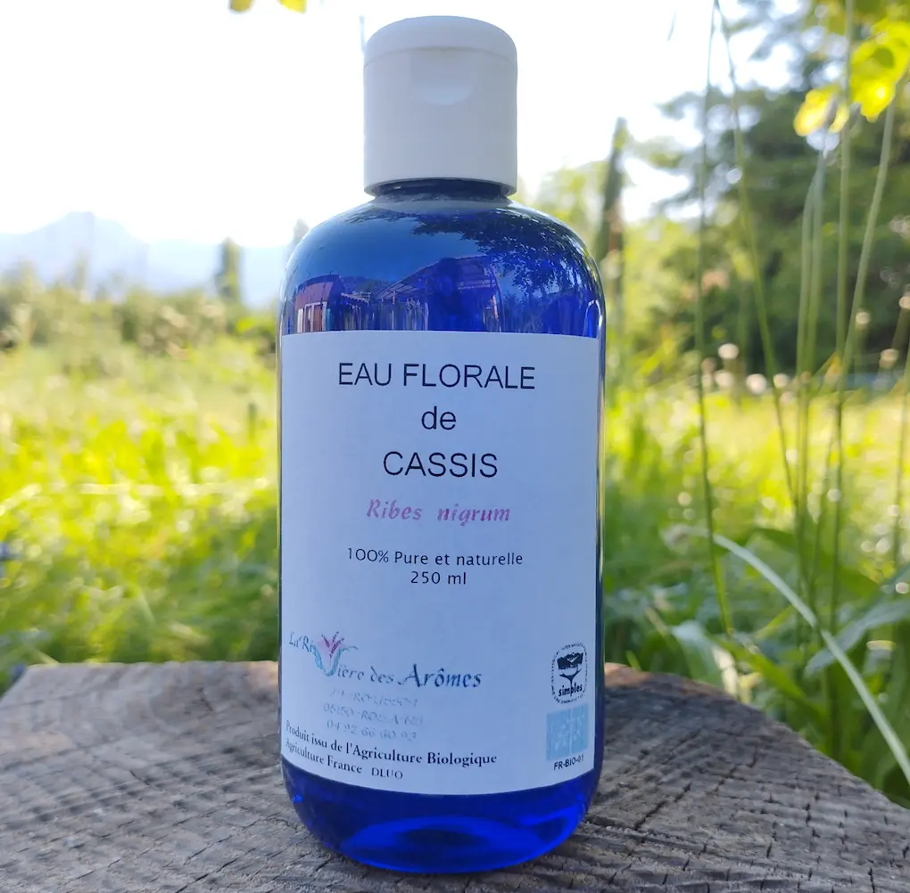 Eau florale de cassis 250 ml   